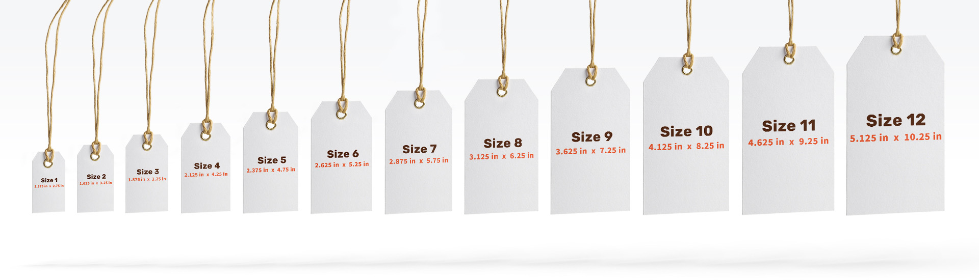 Graphic showing 12 tag sizes