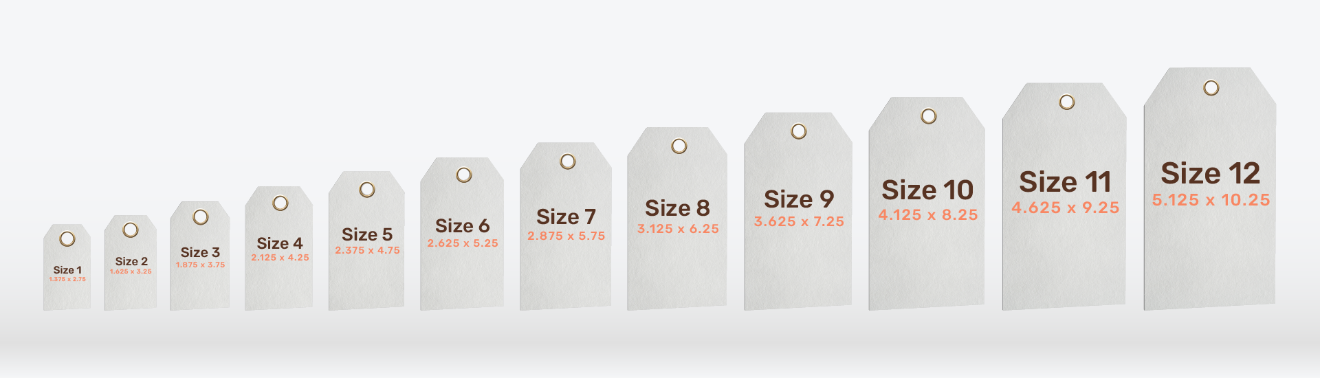 Graphic showing 12 standard hang tag sizes