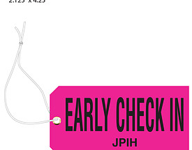 Custom Airline Hang Tag - Early Check In