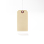 Standard Color - Ivory Hang Tag from St. Louis Tag