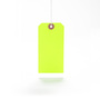 Green Fluorescent Hang Tag from St. Louis Tag