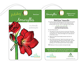 Custom Floral Tag - Amaryllis