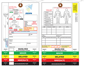 DESPA – Triage Tag